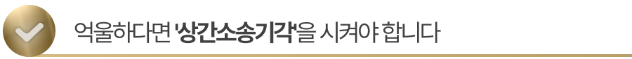 sub-title2 억울하다면 '상간소송기각'을 시켜야 합니다